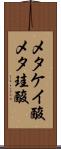 メタケイ酸 Scroll