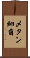 メタン細菌 Scroll
