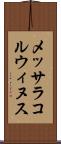 メッサラコルウィヌス Scroll