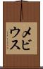 メビウス Scroll