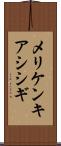 メリケンキアシシギ Scroll
