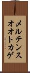 メルテンスオオトカゲ Scroll
