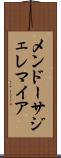 Mendoza Jeremiah Scroll