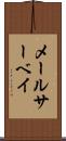 メールサーベイ Scroll