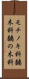 モチノキ科 Scroll
