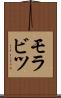 モラビツ Scroll