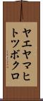 ヤエヤマヒトツボクロ Scroll