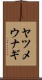 ヤツメウナギ Scroll