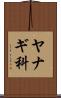 ヤナギ科 Scroll