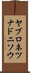 ヤブロネツナドニソウ Scroll