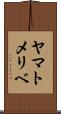 ヤマトメリベ Scroll