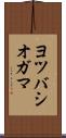 ヨツバシオガマ Scroll