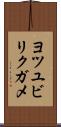ヨツユビリクガメ Scroll