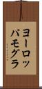 ヨーロッパモグラ Scroll