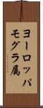 ヨーロッパモグラ属 Scroll