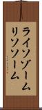 ライソゾーム Scroll