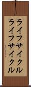 ライフサイクル Scroll