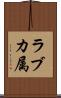 ラブカ属 Scroll