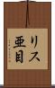 リス亜目 Scroll