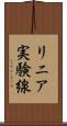 リニア実験線 Scroll