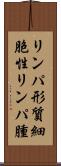 リンパ形質細胞性リンパ腫 Scroll