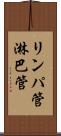 リンパ管 Scroll