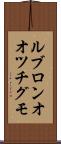 ルブロンオオツチグモ Scroll