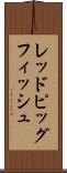 レッドピッグフィッシュ Scroll