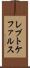 レプトケファルス Scroll