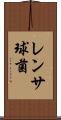 レンサ球菌 Scroll