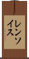 レンソイス Scroll
