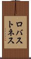 ロバストネス Scroll