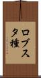 ロブスタ種 Scroll