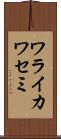 ワライカワセミ Scroll