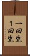 一回生 Scroll