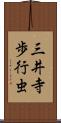 三井寺歩行虫 Scroll