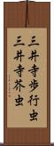 三井寺歩行虫 Scroll