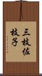 三枝佐枝子 Scroll