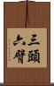 三頭六臂 Scroll