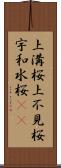 上溝桜 Scroll