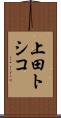 上田トシコ Scroll