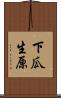 下瓜生原 Scroll