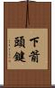 下箭頭鍵 Scroll