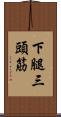 下腿三頭筋 Scroll