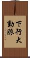下行大動脈 Scroll
