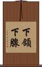 下頜下腺 Scroll