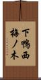 下鴨西梅ノ木 Scroll