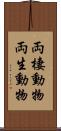 両棲動物 Scroll