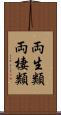 両生類 Scroll