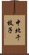 中北千枝子 Scroll